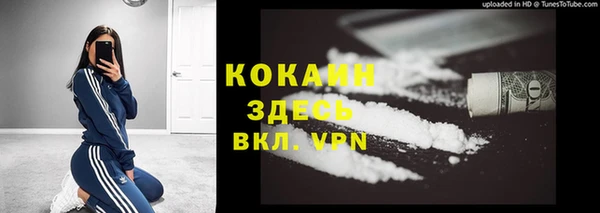 ешки Новозыбков