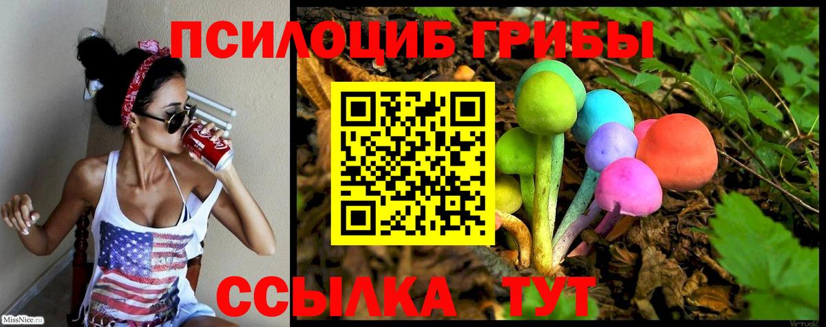 Улан-Удэ  Галлюциногенные грибы Magic Shrooms  Псилоцибиновые грибы Psilocybine cubensis  Вход с VPN 